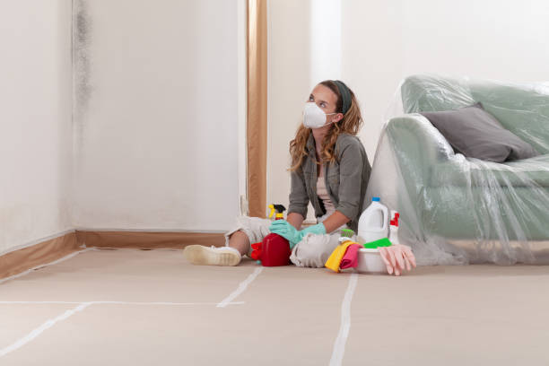Reliable Commercial Mold Remediation contractor in Casnovia, MI by WQB Mold Removal